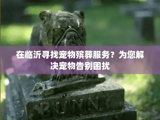 在临沂寻找宠物殡葬服务？为您解决宠物告别困扰