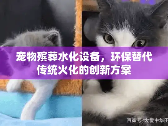 宠物殡葬水化设备，环保替代传统火化的创新方案