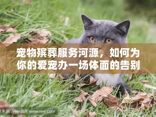 宠物殡葬服务河源，如何为你的爱宠办一场体面的告别仪式？