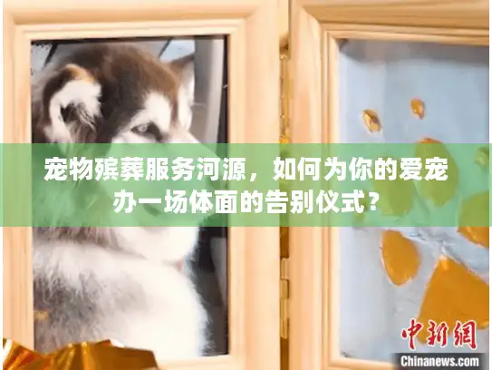 宠物殡葬服务河源，如何为你的爱宠办一场体面的告别仪式？