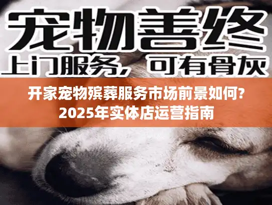 开家宠物殡葬服务市场前景如何?2025年实体店运营指南
