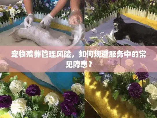 宠物殡葬管理风险，如何规避服务中的常见隐患？