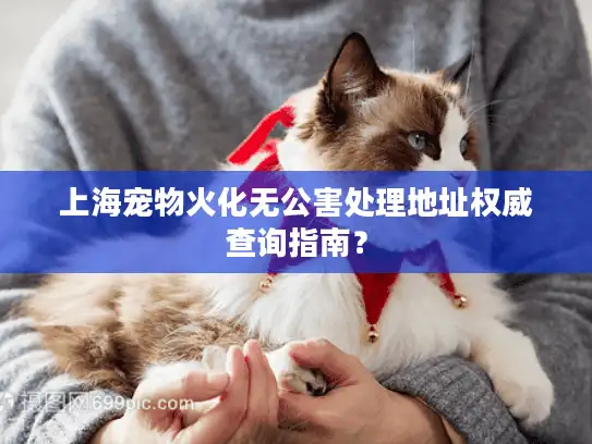上海宠物火化无公害处理地址权威查询指南？