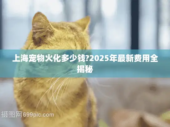 上海宠物火化多少钱?2025年最新费用全揭秘