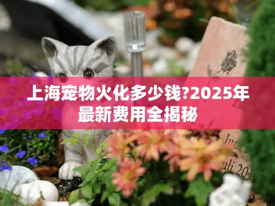 上海宠物火化多少钱?2025年最新费用全揭秘