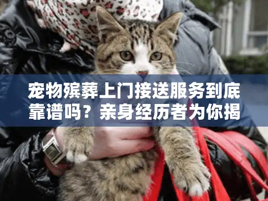 宠物殡葬上门接送服务到底靠谱吗？亲身经历者为你揭开真相