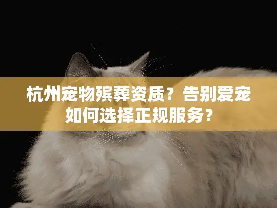 杭州宠物殡葬资质？告别爱宠如何选择正规服务？