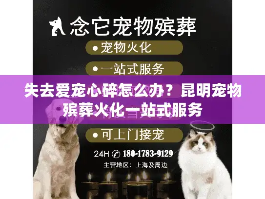 失去爱宠心碎怎么办？昆明宠物殡葬火化一站式服务
