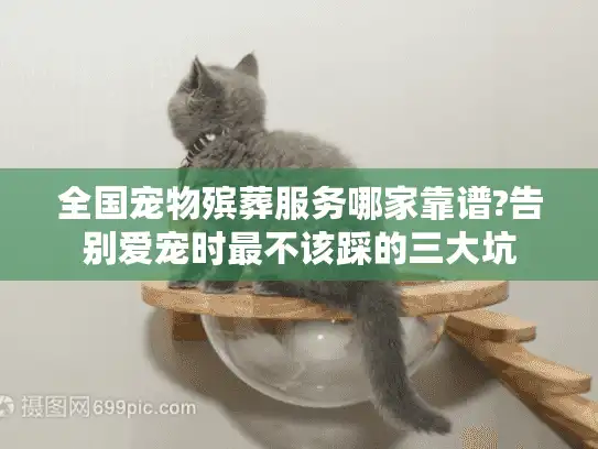 全国宠物殡葬服务哪家靠谱?告别爱宠时最不该踩的三大坑