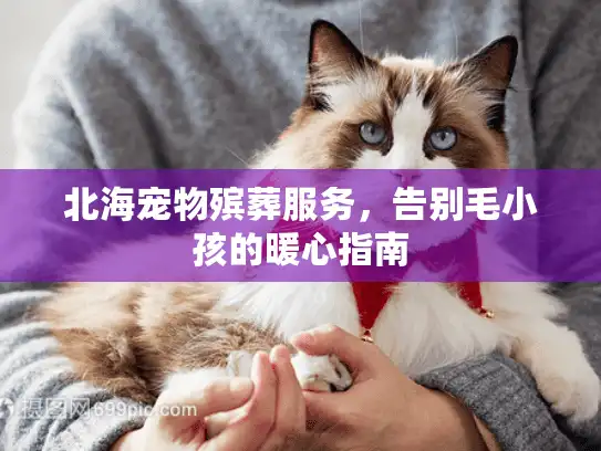 北海宠物殡葬服务，告别毛小孩的暖心指南