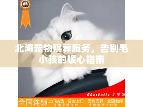 北海宠物殡葬服务，告别毛小孩的暖心指南