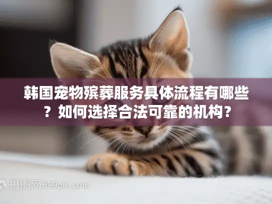 韩国宠物殡葬服务具体流程有哪些？如何选择合法可靠的机构？