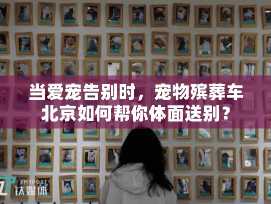 当爱宠告别时，宠物殡葬车北京如何帮你体面送别？