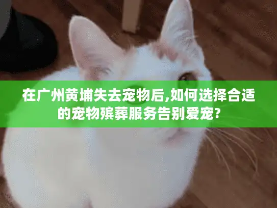 在广州黄埔失去宠物后,如何选择合适的宠物殡葬服务告别爱宠?