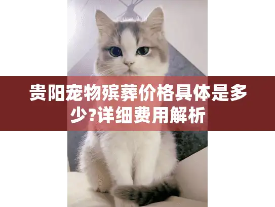 贵阳宠物殡葬价格具体是多少?详细费用解析