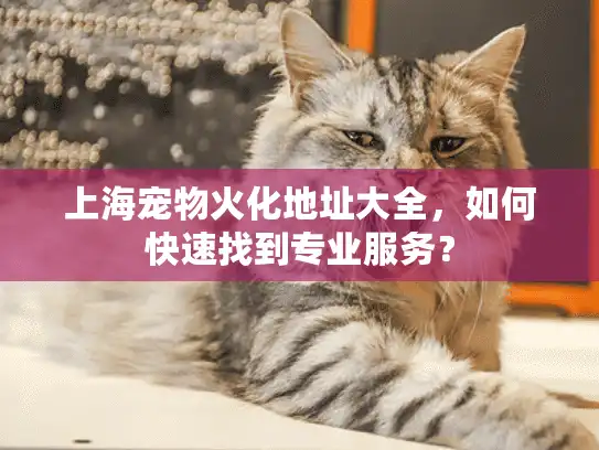 上海宠物火化地址大全，如何快速找到专业服务？