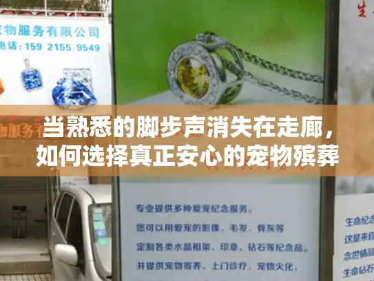 当熟悉的脚步声消失在走廊，如何选择真正安心的宠物殡葬服务？