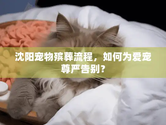 沈阳宠物殡葬流程，如何为爱宠尊严告别？