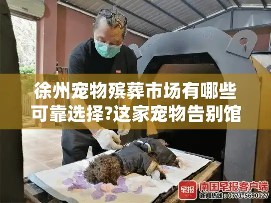 徐州宠物殡葬市场有哪些可靠选择?这家宠物告别馆的服务体验实录