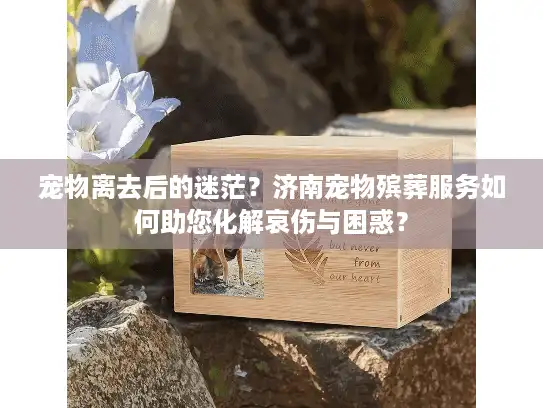 宠物离去后的迷茫？济南宠物殡葬服务如何助您化解哀伤与困惑？