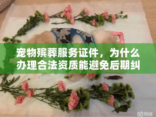 宠物殡葬服务证件，为什么办理合法资质能避免后期纠纷？