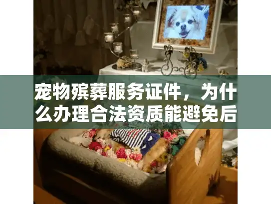 宠物殡葬服务证件，为什么办理合法资质能避免后期纠纷？