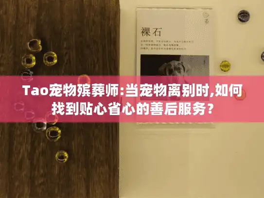 Tao宠物殡葬师:当宠物离别时,如何找到贴心省心的善后服务？