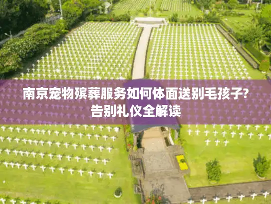 南京宠物殡葬服务如何体面送别毛孩子?告别礼仪全解读