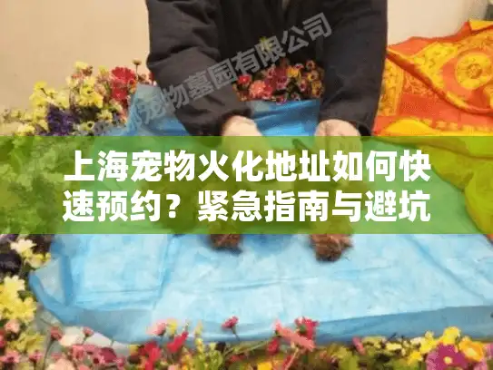 上海宠物火化地址如何快速预约？紧急指南与避坑攻略