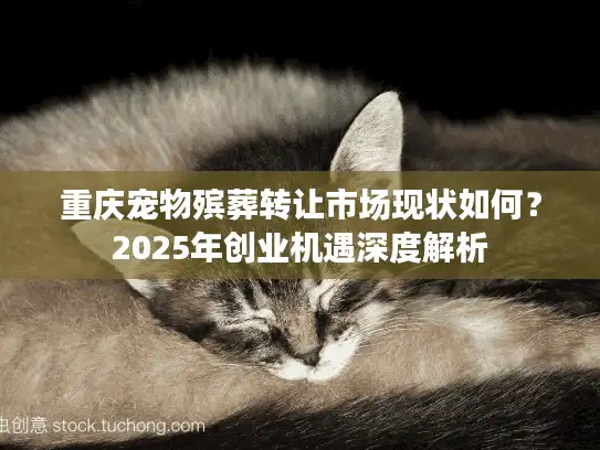 重庆宠物殡葬转让市场现状如何？2025年创业机遇深度解析