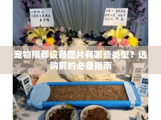 宠物殡葬设备图片有哪些类型？选购前的必备指南