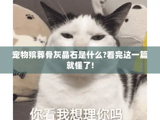 宠物殡葬骨灰晶石是什么?看完这一篇就懂了!