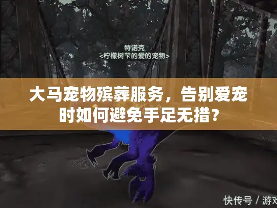 大马宠物殡葬服务，告别爱宠时如何避免手足无措？