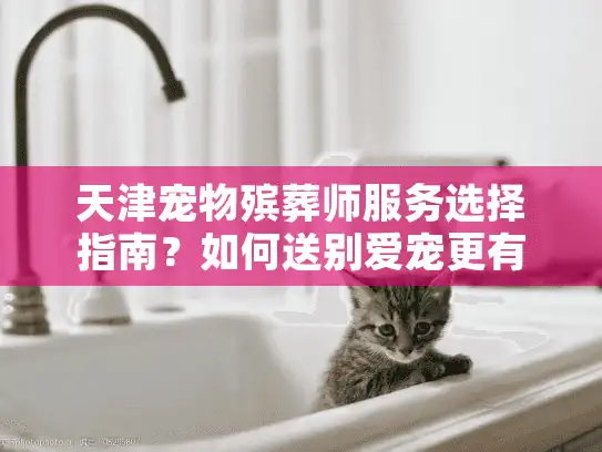 天津宠物殡葬师服务选择指南？如何送别爱宠更有尊严