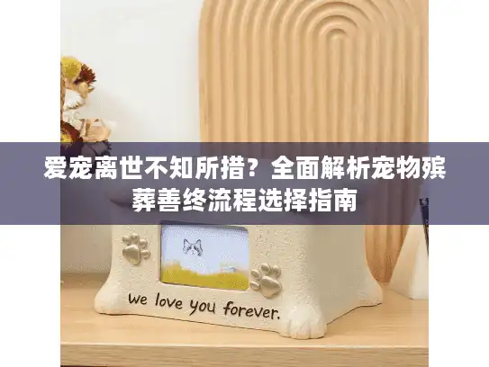 爱宠离世不知所措？全面解析宠物殡葬善终流程选择指南