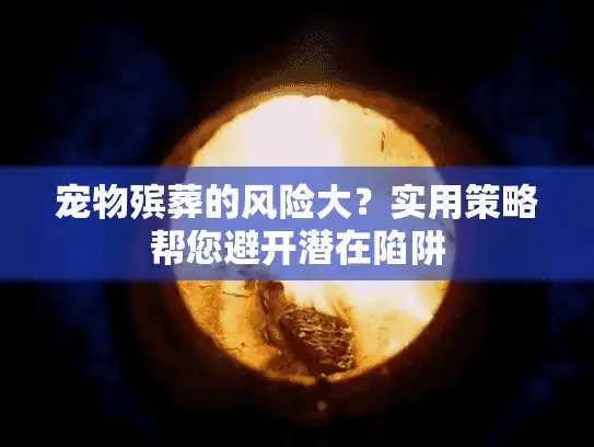 宠物殡葬的风险大？实用策略帮您避开潜在陷阱