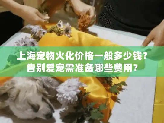 上海宠物火化价格一般多少钱？告别爱宠需准备哪些费用？