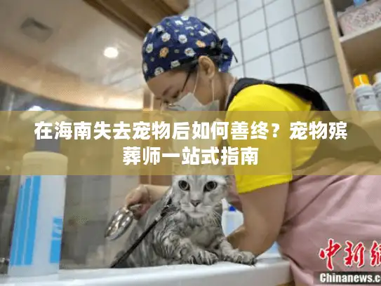 在海南失去宠物后如何善终？宠物殡葬师一站式指南