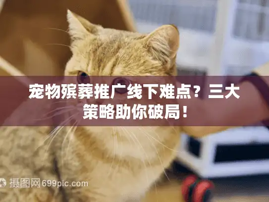 宠物殡葬推广线下难点？三大策略助你破局！
