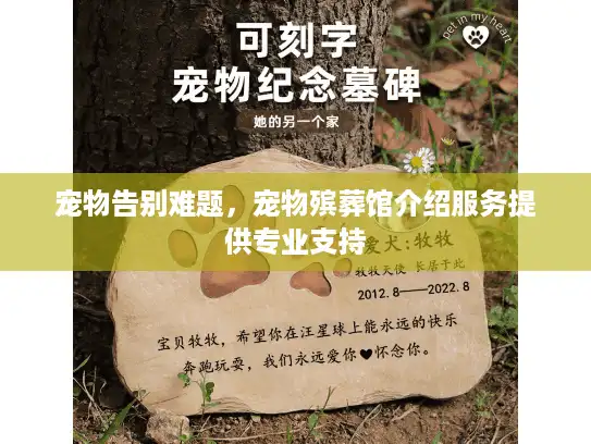 宠物告别难题，宠物殡葬馆介绍服务提供专业支持