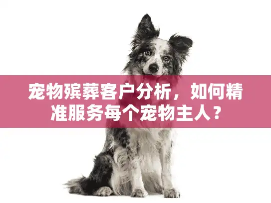 宠物殡葬客户分析，如何精准服务每个宠物主人？