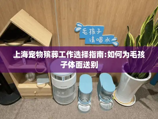 上海宠物殡葬工作选择指南:如何为毛孩子体面送别