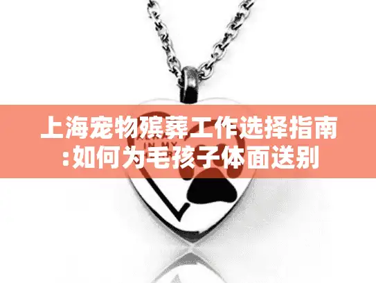 上海宠物殡葬工作选择指南:如何为毛孩子体面送别