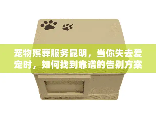 宠物殡葬服务昆明，当你失去爱宠时，如何找到靠谱的告别方案？
