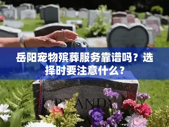 岳阳宠物殡葬服务靠谱吗？选择时要注意什么？