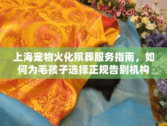 上海宠物火化殡葬服务指南，如何为毛孩子选择正规告别机构？