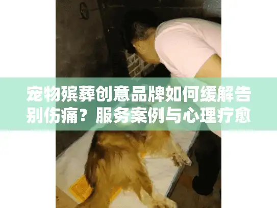 宠物殡葬创意品牌如何缓解告别伤痛？服务案例与心理疗愈解析