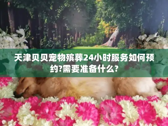 天津贝贝宠物殡葬24小时服务如何预约?需要准备什么?