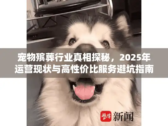 宠物殡葬行业真相探秘，2025年运营现状与高性价比服务避坑指南