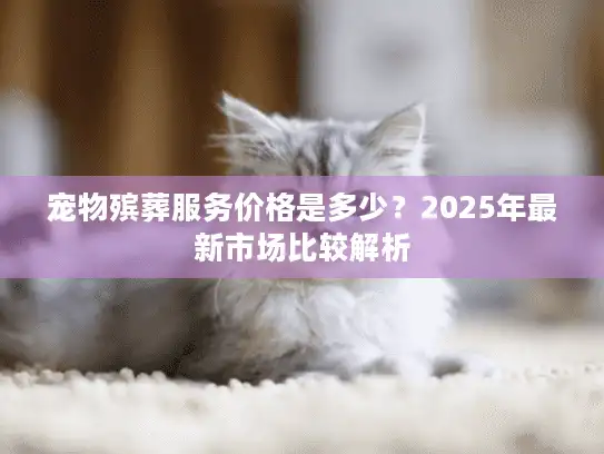 宠物殡葬服务价格是多少？2025年最新市场比较解析